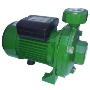 Atlantis Blu Dmla 301.5M 2 Hp Tek Kademeli Basınçlı Santrifuj Bahçe Pompası 220V