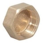 Sarı Manşon Körtapa 1