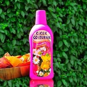 Tüm Süs Bitkileri İçin Extra Canlandırıcı